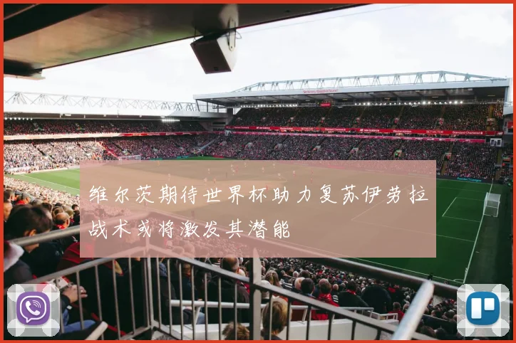 维尔茨期待世界杯助力复苏伊劳拉战术或将激发其潜能